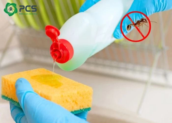 diệt kiến bằng xà phòng